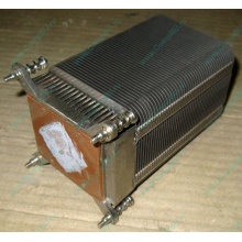 Радиатор HP p/n 433974-001 для ML310 G4 (с тепловыми трубками) 434596-001 SPS-HTSNK (Истра)