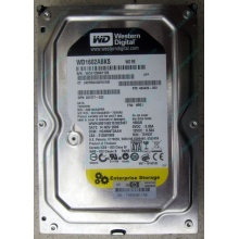 Жесткий диск 160Gb WD WD1602ABKS SATA (Истра)