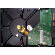 Б/У жёсткий диск 1Tb Western Digital WD10EVVS Green (WD AV-GP 1000 GB) 5400 rpm SATA (Истра)