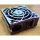 HP 224977 (224978-001) for Proliant ML370 G2/G3/G4 (Истра).