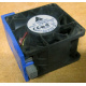 Вентилятор TFB0612GHE для корпусов Intel SR2300 / SR2400 (Истра)
